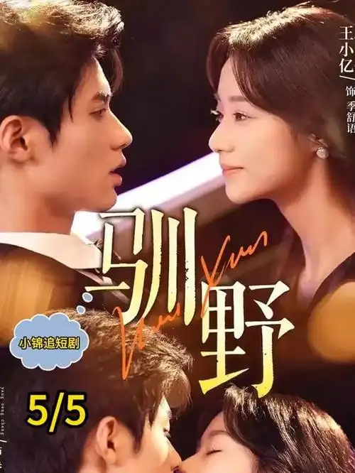 韩剧江南诊疗室海报